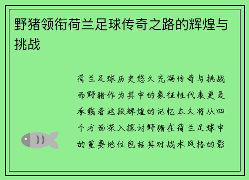 野猪领衔荷兰足球传奇之路的辉煌与挑战